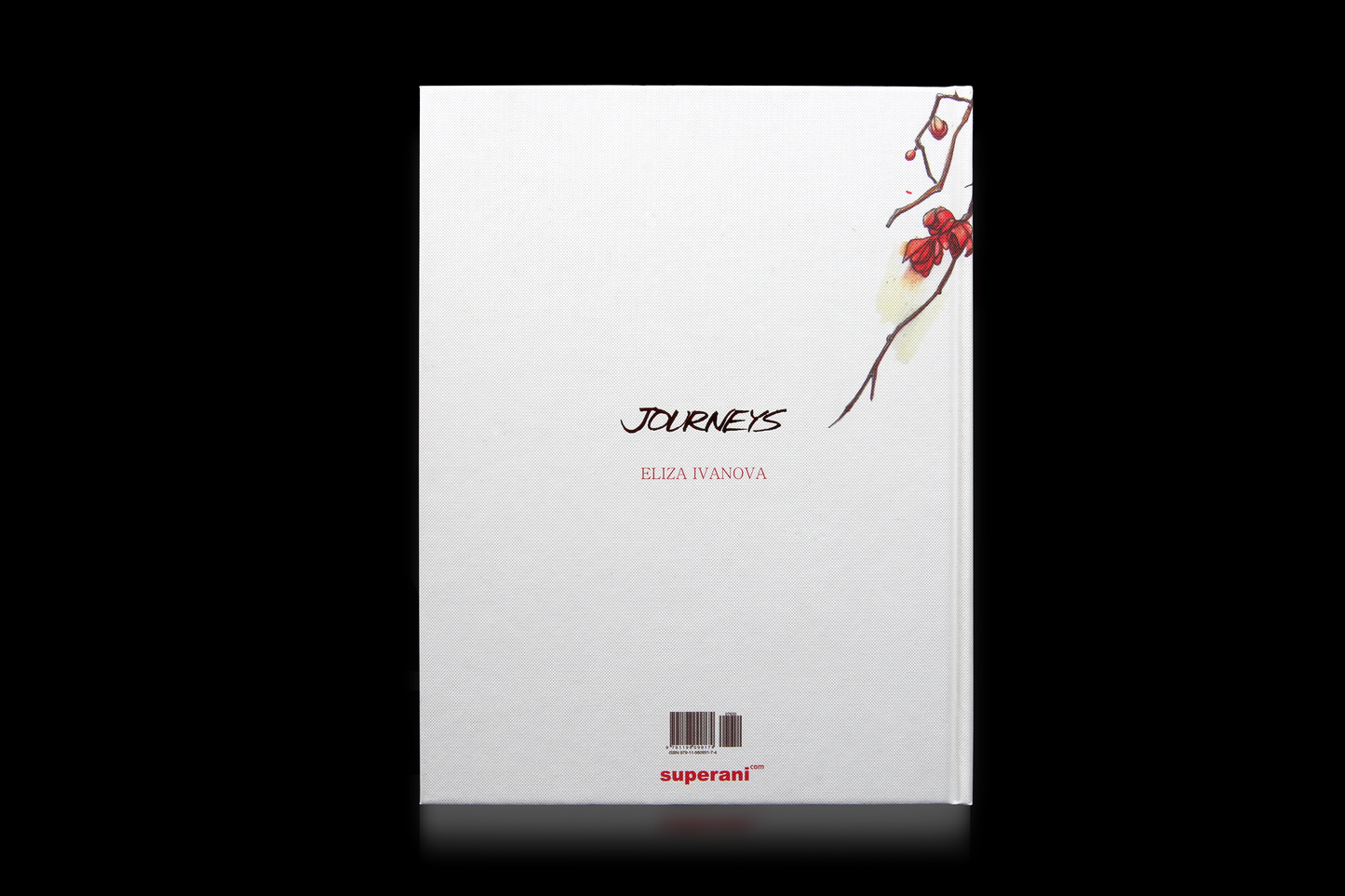 Journeys collector's edition book VI