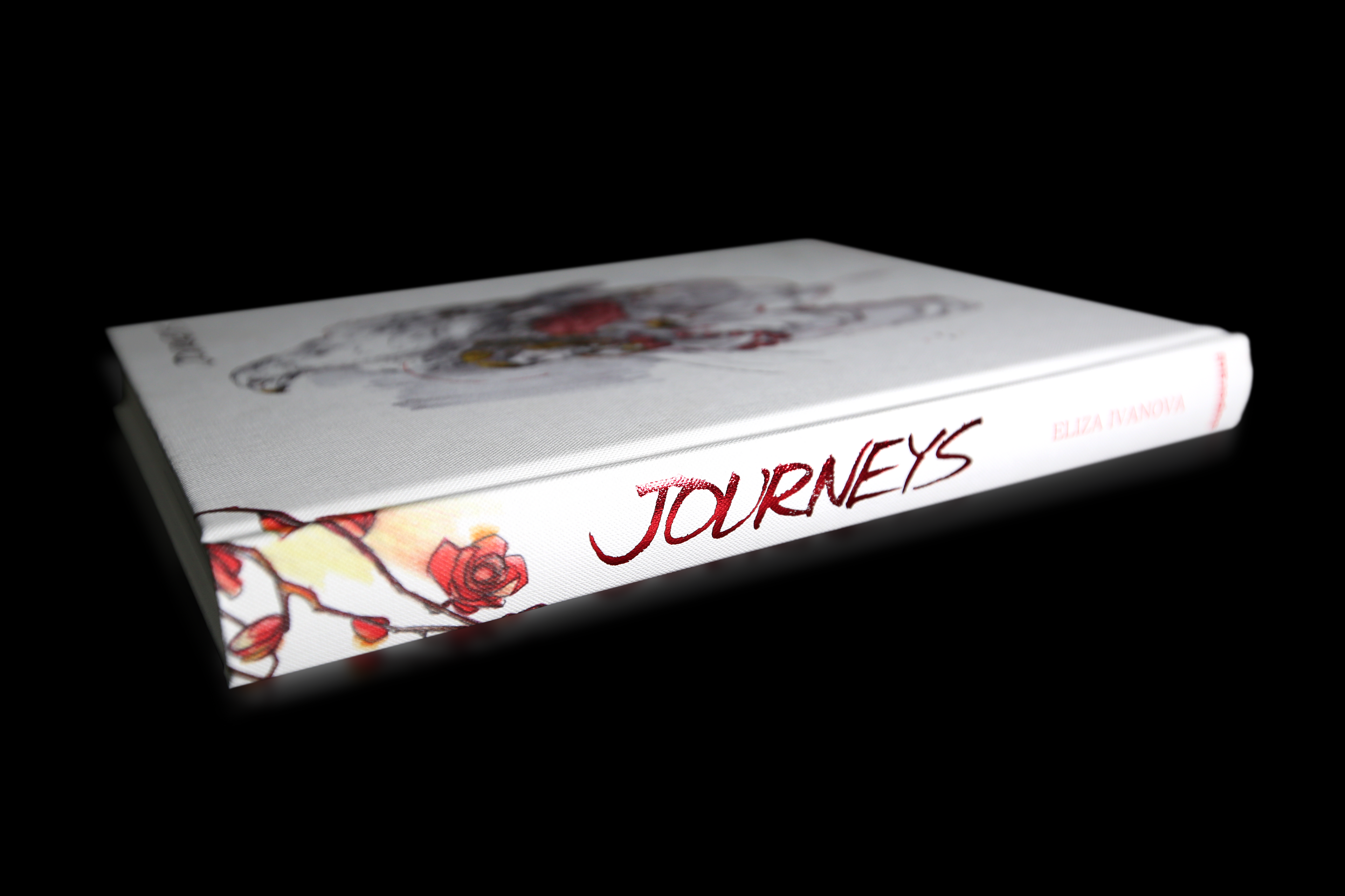 Journeys by Eliza Ivanova