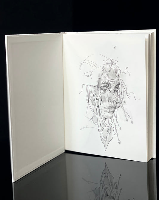 Journeys collector's edition book VI