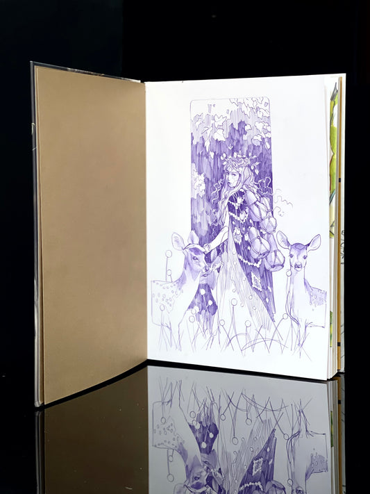 Eleeza collector's edition tutorial book