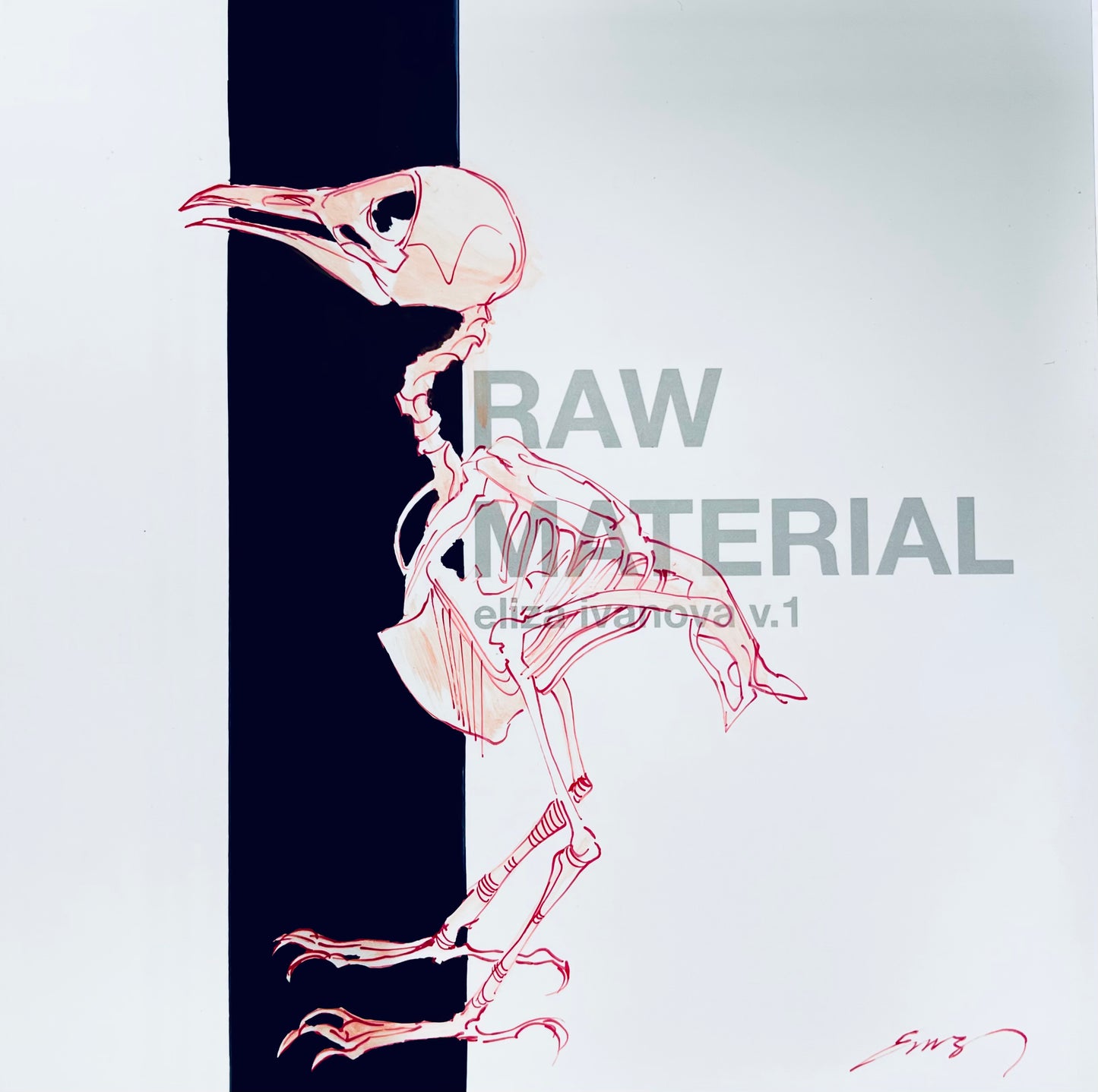 Raw Material v.1 Quail Skeleton Custom Cover